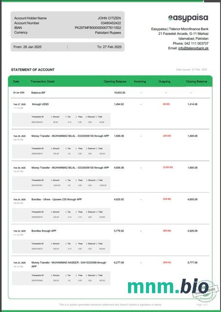 Pakistan Bank Alfalah wyciąg z konta Word i szablon PDF